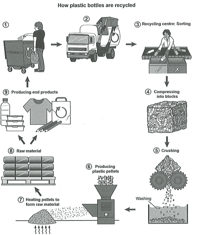 Cambridge IELTS 16 Test 4 Writing Task 1, graphique : Le schéma montre comment les bouteilles en plastique sont recyclées en neuf étapes numérotées, depuis leur dépôt dans une poubelle de recyclage et leur collecte par camion jusqu'à leur transformation en matière première et en nouveaux produits. Le procédé est un cycle, car les produits finis peuvent être utilisés puis recyclés de nouveau.